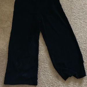 Velvet wide leg ankle pant